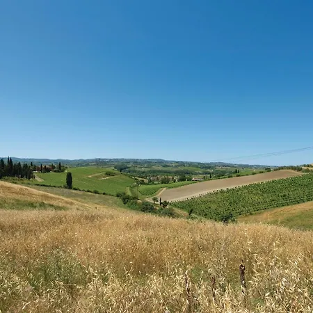 Trebbiano 2 *