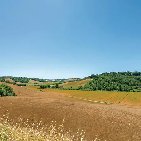 Trebbiano 2