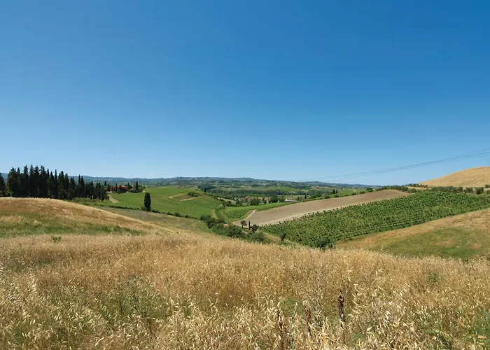 Trebbiano 2 *